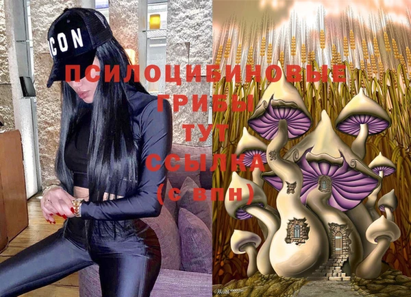 спайс Армянск