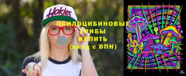 apvp Балахна