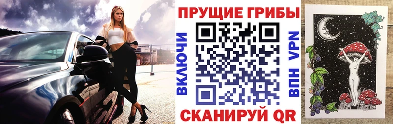 кракен ССЫЛКА что такое Нижний Ломов Псилоцибиновые грибы Psilocybine cubensis
